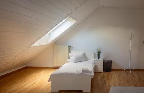 Pension Nickel Ferienwohnung DG Am Holzlachgraben - Foto 20