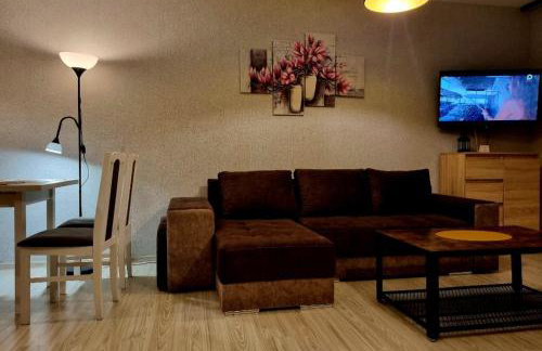 Willa "Aparthause" E-Apartamenty - Foto 19