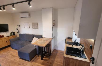 Brzozowy Zakątek - domek całoroczny, sauna, jacuzzi - Foto 2