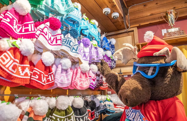 Big White Condos by Big White Accomm. - Foto 39