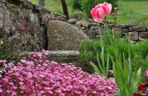 2 Bed in Hope Mansell 73253 - Foto 25