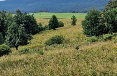 Nad Strumieniem - Foto 40