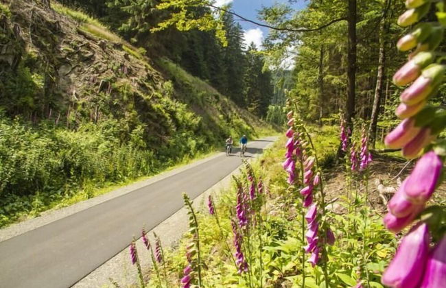 Vakantiehuisje Winterberg - Foto 10