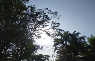 Casa Paraty - Jabaquara - Foto 19