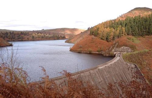 Garn Lodge - Foto 21