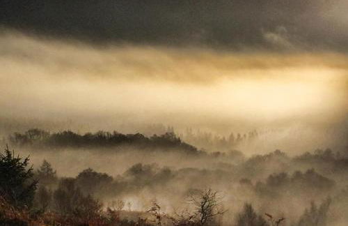 Wild Nurture Eco Luxury Offgrid Log Cabin - Foto 60