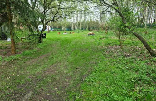 Dom Pod Brzozami Lipinki Bory Tucholskie basen - psy, koty mile widziane! - Photo 32