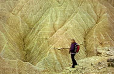 TUDELA CENTRO-Teatro Gaztambide-3 habitac. - Foto 57