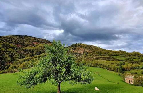 La Masia del Batlle - Photo 58