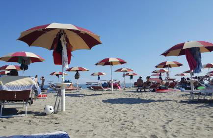 Siviero Apartments - Foto 47