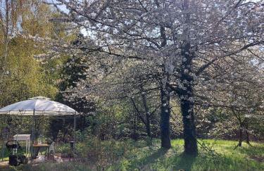 Der Konikhof, Natur, Ruhe, R-Auszeit - Photo 1