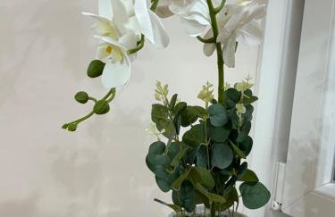 JORDAN's ROOM 27 - Foto 17