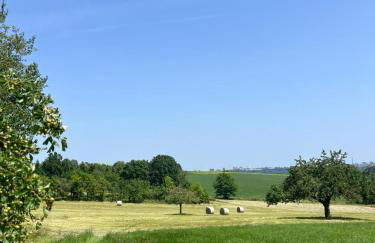 Die grüne Bleibe im Pfälzer Wald - Foto 21