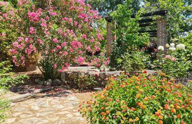 Casa Rural en Candeleda con piscina y un maravilloso jardín - Foto 9