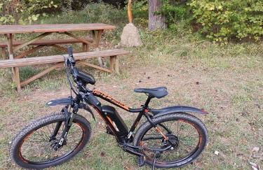 Eifelferienkurth - Photo 80