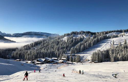 Gästehaus Dauser - Photo 50