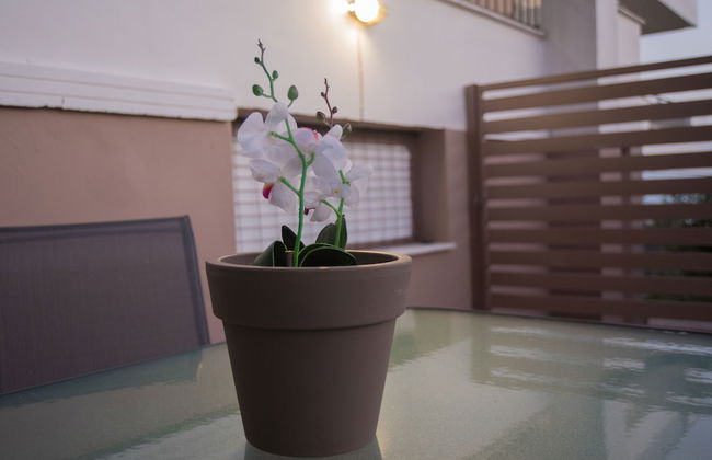 Lefkas Vacation House - Foto 20