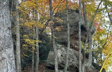 Cherokee Cabin-Cave Run Lake and Cliff Views-Red River Gorge - Foto 45