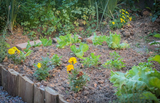 Chale Sol da Montanha em Termas Gravatal - Photo 25