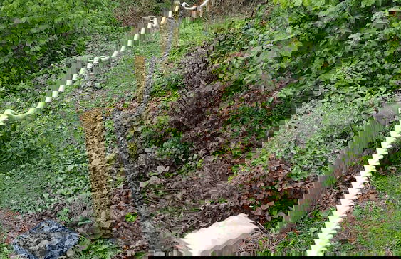 Friedrichs Ferienwohnungen - Foto 45