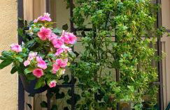 La Salitella - Foto 19