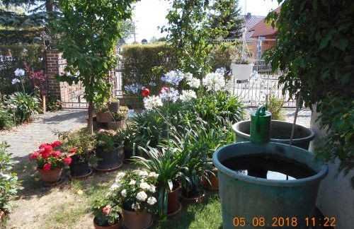 Vermiete sehr schönes Apartment in Dankerode im Harz - Foto 12