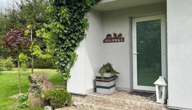 Pucówka na skraju Puszczy Białowieskiej - Foto 2