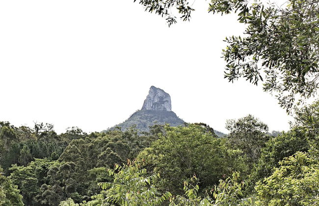 Glass On Glasshouse - Foto 46