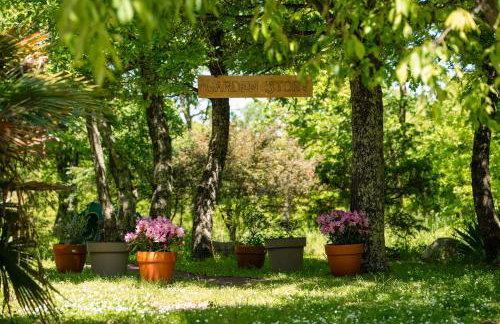 Palmira Apartments - Foto 52