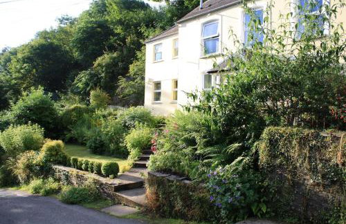 Cosy Cottage overlooking the Teifi Gorge - Foto 1