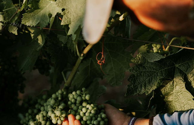 Altanza Winery Tour - Photo 7