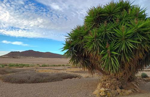 El Oasis Morado - Foto 32