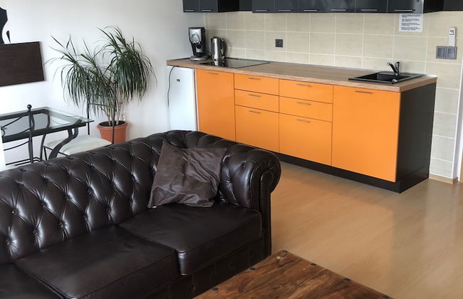 Richie Apartment near Aquapark - Foto 24