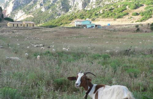 Agriturismo Sa Rocca - Foto 25