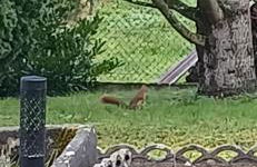 La maison des doux souvenirs - Foto 36