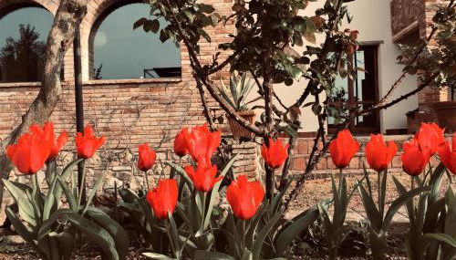 Poggio Magginga - Foto 4