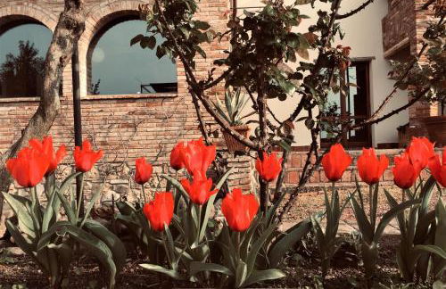 Poggio Magginga - Foto 4