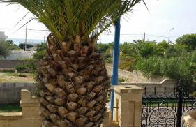 Michelle House - Foto 39