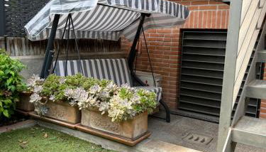 columella 14 - Photo 3, Garden