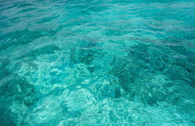 Excursion privée à Cayo Caracoles - Photo 7