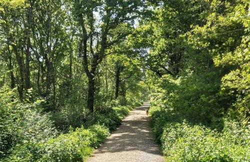 Hunter Heights Loft – Near Ventnor, Isle of Wight - Foto 6