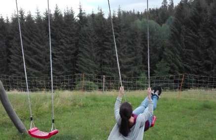 Sigmundenhof Schonach - Foto 56