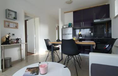 Apartment Sandra Toplice Sveti Martin - Foto 28