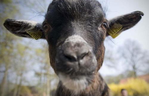 Muehlenhof-Soderstorf-Wohnung-A - Foto 10