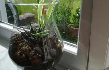 Ferienwohnung, Sauna & Gästekarte gratis im Schwarzwald - Photo 13