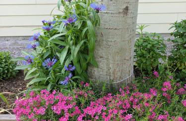 Spectacular Mountain Condo - Foto 17