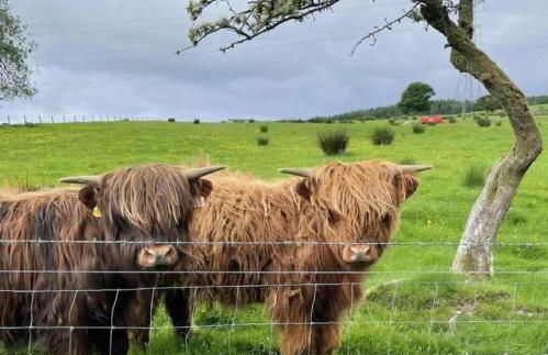 Craigievern Cottage - Foto 41