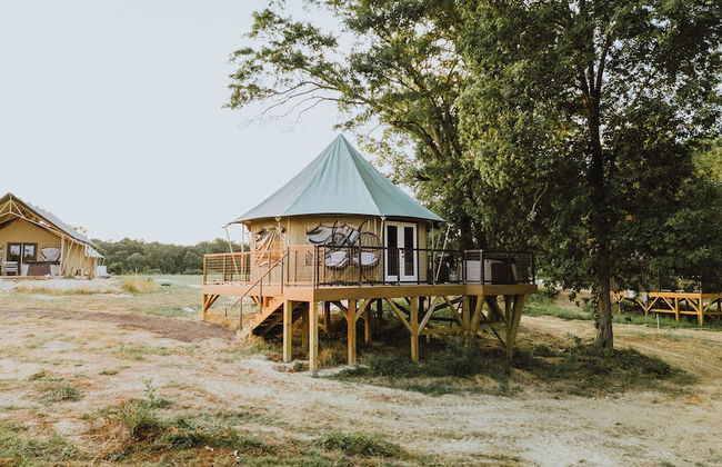 Starlight Haven Weiss Lake - Photo 49