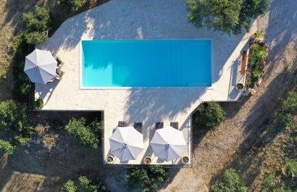 Sunset Hill Sutivan - Photo 2