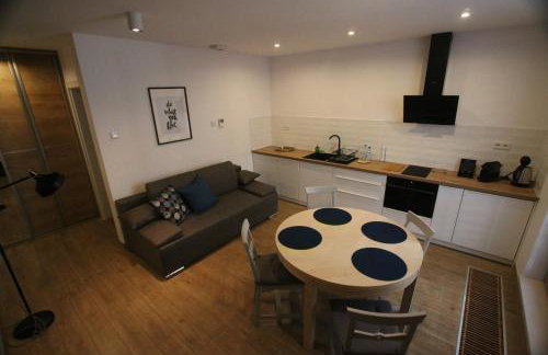 Browar Lubicz Residence - Official Aparthotel - Photo 112